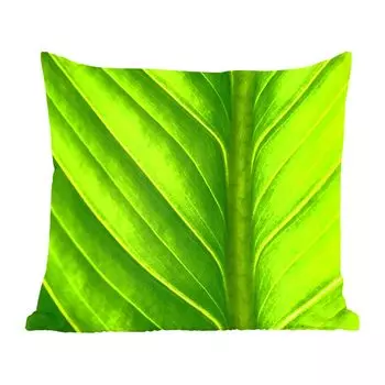 Декоративная подушка MuchoWow, диванная подушка, декоративная подушка для гостиной, 60 х 60 см, фото светло-зеленого ботанического листа - чехол на подушку - хлопчатобумажная ткань - декоративные чехлы на подушки