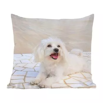Декоративная подушка MuchoWow, диванная подушка, декоративная подушка для гостиной, 60 х 60 см, мальтийская собака, лежащая на дорожке - чехол на подушку - хлопчатобумажная ткань - декоративные чехлы на подушки
