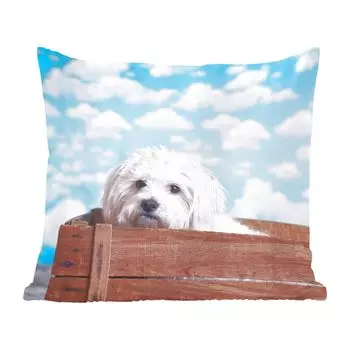 Декоративная подушка MuchoWow, диванная подушка, декоративная подушка для гостиной, 60 х 60 см, мальтийская собака в деревянной коробке - чехол на подушку - хлопчатобумажная ткань - декоративные наволочки