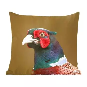 Декоративная подушка MuchoWow, диванная подушка, декоративная подушка для гостиной, 60 х 60 см, фазан - портрет - животные - чехол на подушку - хлопчатобумажная ткань - декоративные наволочки, мультиколор
