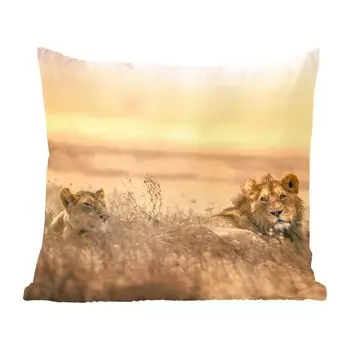 Декоративная подушка MuchoWow, диванная подушка, декоративная подушка для гостиной, 60 х 60 см, львы, трава, небо, чехол на подушку, хлопчатобумажная ткань, декоративные чехлы на подушки