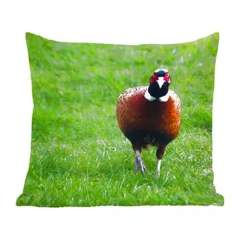 Декоративная подушка MuchoWow, диванная подушка, декоративная подушка для гостиной, 60 х 60 см, фазан - дикий - Англия - чехол на подушку - хлопчатобумажная ткань - декоративные наволочки