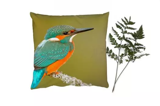 Декоративная подушка MuchoWow Диванная подушка Декоративная подушка для гостиной 60 x 60 см Зимородок - Животные - Птицы - Наволочки - Хлопчатобумажная ткань - Декоративные наволочки, мультиколор