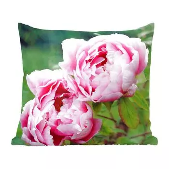 Декоративная подушка MuchoWow, диванная подушка, декоративная подушка для гостиной, 60 х 60 см, розовые пионы в саду - чехол на подушку - хлопчатобумажная ткань - декоративные наволочки