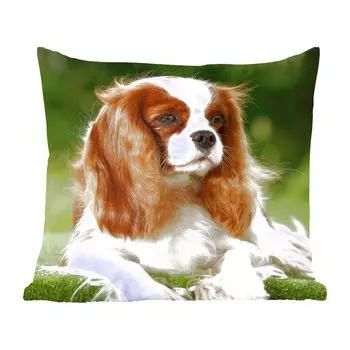 Декоративная подушка MuchoWow, диванная подушка, декоративная подушка для гостиной, 60 х 60 см, портрет кавалер-кинг-чарльз-спаниеля - чехол на подушку - хлопчатобумажная ткань - декоративные наволочки
