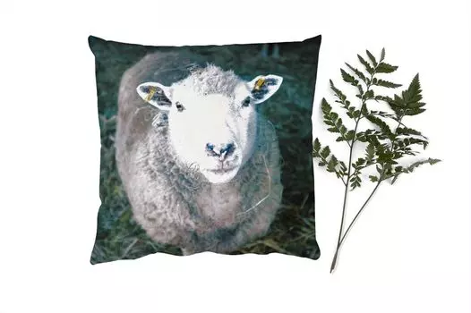 Декоративная подушка MuchoWow Диванная подушка Декоративная подушка для гостиной 60 x 60 см Овцы - Животные - Крупный рогатый скот - Чехлы на подушки - Хлопчатобумажная ткань - Декоративные наволочки