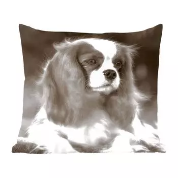 Декоративная подушка MuchoWow Диванная подушка Декоративная подушка для гостиной 45 x 45 см Черно-белая фотография кавалер-кинг-чарльз-спаниеля - Чехлы на подушки - Декоративные чехлы на подушки - Декоративные чехлы на подушки