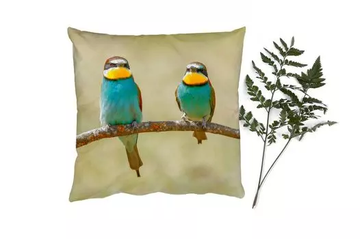 Декоративная подушка MuchoWow, диванная подушка, декоративная подушка для гостиной, 60 х 60 см, птицы - животные - щурки - чехол на подушку - хлопчатобумажная ткань - декоративные наволочки