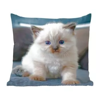 Декоративная подушка MuchoWow, диванная подушка, декоративная подушка для гостиной, 50 х 50 см, котенок, кошка, животное, чехлы на подушки, украшение, спальня