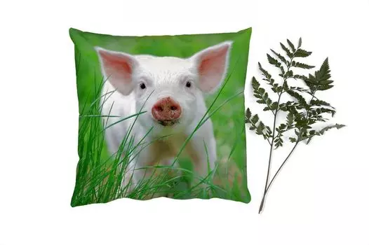 Декоративная подушка MuchoWow Диванная подушка Декоративная подушка для гостиной 60 x 60 см Свинья - Животные - Большой - Наволочка - Хлопковая ткань - Декоративные наволочки, мультиколор