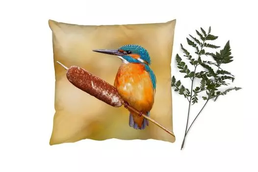 Декоративная подушка MuchoWow Диванная подушка Декоративная подушка для гостиной 60 x 60 см Зимородок - Природа - Птица - Наволочка - Хлопчатобумажная ткань - Декоративные наволочки