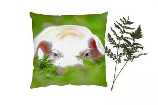 Декоративная подушка MuchoWow Диванная подушка Декоративная подушка для гостиной 60 x 60 см Свинья - Животные - Большой - Наволочка - Хлопковая ткань - Декоративные наволочки, мультиколор