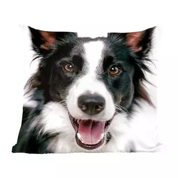 Декоративная подушка MuchoWow Диванная подушка Декоративная подушка для гостиной 60 x 60 см Happy Border Collie - Чехол на подушку - Хлопчатобумажная ткань - Декоративные наволочки