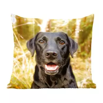 Декоративная подушка MuchoWow Диванная подушка Декоративная подушка для гостиной 60 x 60 см Happy Black Dog - Чехол на подушку - Хлопчатобумажная ткань - Декоративные наволочки