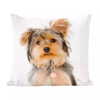 Декоративная подушка MuchoWow Диванная подушка Декоративная подушка для гостиной 50 x 50 см Портрет йоркширского терьера - Чехлы на подушки - Украшение - Спальня