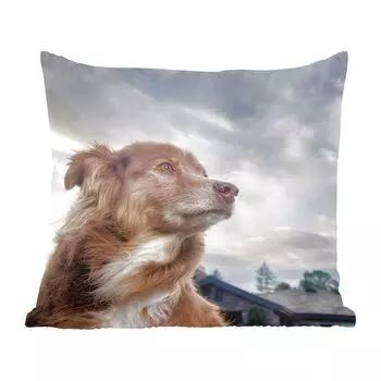 Декоративная подушка MuchoWow, диванная подушка, декоративная подушка для гостиной, 60 x 60 см, смотрящая собака - чехол на подушку - хлопчатобумажная ткань - декоративные чехлы на подушки