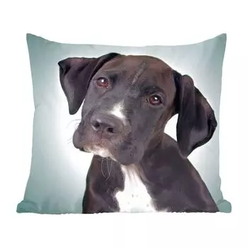 Декоративная подушка MuchoWow, диванная подушка, декоративная подушка для гостиной, 40 х 40 см, милая черно-белая собачка - чехлы на диванные подушки - без наполнителя