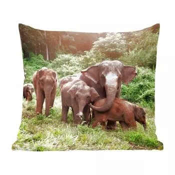 Декоративная подушка MuchoWow, диванная подушка, декоративная подушка для гостиной, 60 х 60 см, лесные слоны - чехол на подушку - хлопчатобумажная ткань - декоративные наволочки