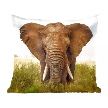 Декоративная подушка MuchoWow, диванная подушка, декоративная подушка для гостиной, 60 х 60 см, угроза слону - чехол на подушку - хлопчатобумажная ткань - декоративные наволочки