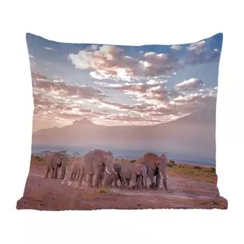 Декоративная подушка MuchoWow, диванная подушка, декоративная подушка для гостиной, 40 х 40 см, странствующие слоны - чехлы на диванные подушки - без наполнителя