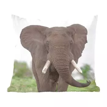 Декоративная подушка MuchoWow Диванная подушка Декоративная подушка для гостиной 60 x 60 см Чувствительный слон - Чехол на подушку - Хлопчатобумажная ткань - Декоративные наволочки