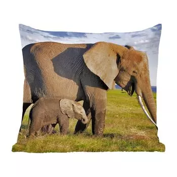Декоративная подушка MuchoWow, диванная подушка, декоративная подушка для гостиной, 60 х 60 см, мать-слониха и ребенок в саванне - чехол на подушку - хлопчатобумажная ткань - декоративные чехлы на подушки