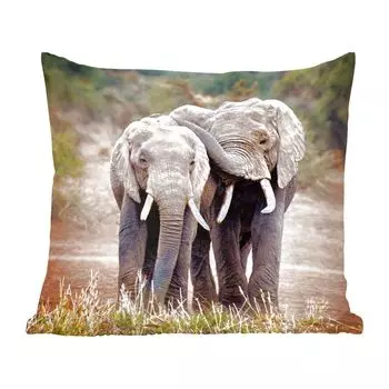Декоративная подушка MuchoWow, диванная подушка, декоративная подушка для гостиной, 60 х 60 см, друзья слонов - чехол на подушку - хлопчатобумажная ткань - декоративные чехлы на подушки