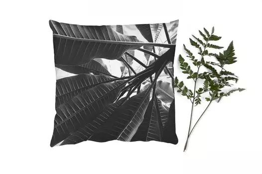 Декоративная подушка MuchoWow, диванная подушка, декоративная подушка для гостиной, 60 x 60 см, пальмовый лист - тропический - чехол на подушку - хлопковая ткань - декоративные наволочки