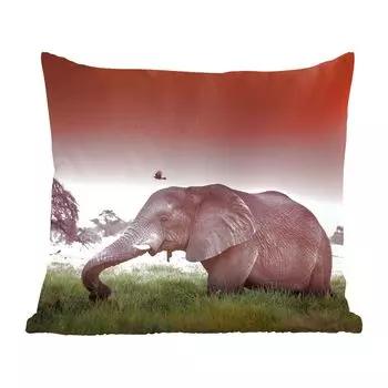 Декоративная подушка MuchoWow, диванная подушка, декоративная подушка для гостиной, 60 х 60 см, красный закат над слоном в траве - чехол на подушку - хлопчатобумажная ткань - декоративные наволочки