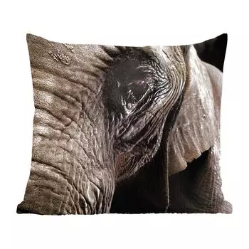 Декоративная подушка MuchoWow, диванная подушка, декоративная подушка для гостиной, 60 х 60 см, крупный план слона на темном фоне - чехол на подушку - хлопчатобумажная ткань - декоративные чехлы на подушки