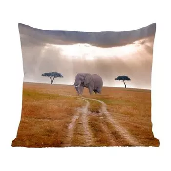 Декоративная подушка MuchoWow, диванная подушка, декоративная подушка для гостиной, 60 х 60 см, солнечный свет на слоне в заповеднике - чехол на подушку - хлопчатобумажная ткань - декоративные наволочки