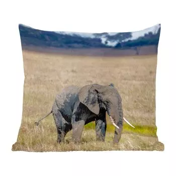 Декоративная подушка MuchoWow Диванная подушка Декоративная подушка для гостиной 60 x 60 см Грязный слоненок в Серенгети - Чехол на подушку - Хлопчатобумажная ткань - Декоративные наволочки