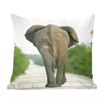 Декоративная подушка MuchoWow, диванная подушка, декоративная подушка для гостиной, 60 х 60 см, спинка слона - чехол на подушку - хлопчатобумажная ткань - декоративные наволочки