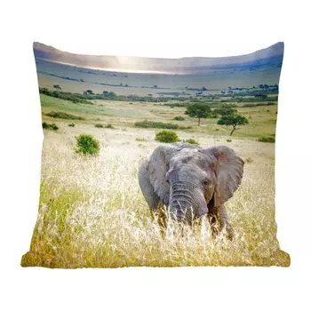 Декоративная подушка MuchoWow, диванная подушка, декоративная подушка для гостиной, 50 х 50 см, солнечные лучи над слоном в саванне - чехлы на подушки - декорирование - спальня