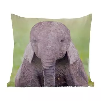 Декоративная подушка MuchoWow, диванная подушка, декоративная подушка для гостиной, 60 х 60 см, портрет слоненка - чехол на подушку - хлопчатобумажная ткань - декоративные наволочки