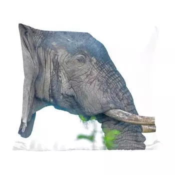 Декоративная подушка MuchoWow, диванная подушка, декоративная подушка для гостиной, 60 х 60 см, африканский слон крупным планом - чехол на подушку - хлопчатобумажная ткань - декоративные наволочки