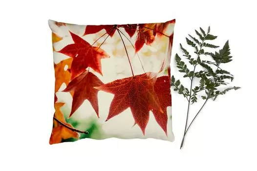 Декоративная подушка MuchoWow Диванная подушка Декоративная подушка для гостиной 60 x 60 см Осенние листья - Ноябрь - Природа - Деревья - Чехлы на подушки - Хлопчатобумажная ткань - Декоративные наволочки