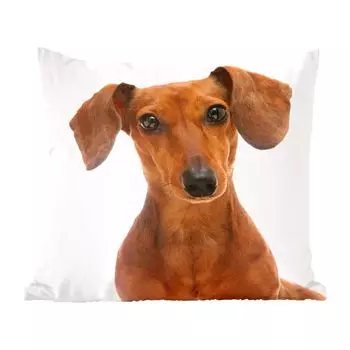 Декоративная подушка MuchoWow Диванная подушка Декоративная подушка для гостиной 45 x 45 см Портрет золотисто-коричневой таксы - Чехлы на подушки - Декоративные чехлы на подушки - Декоративные чехлы на подушки