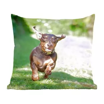 Декоративная подушка MuchoWow, диванная подушка, декоративная подушка для гостиной, 60 х 60 см, спринтерская такса - чехол на подушку - хлопчатобумажная ткань - декоративные наволочки