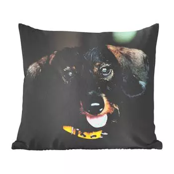 Декоративная подушка MuchoWow Диванная подушка Декоративная подушка для гостиной 60 x 60 см Симпатичная черная такса - Чехол на подушку - Хлопчатобумажная ткань - Декоративные наволочки