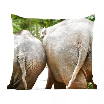 Декоративная подушка MuchoWow, диванная подушка, декоративная подушка для гостиной, 60 х 60 см, два слона идут в лес - чехол на подушку - хлопчатобумажная ткань - декоративные наволочки