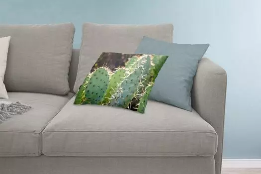 Декоративная подушка MuchoWow Диванная подушка Декоративная подушка для гостиной 60 x 40 см Фотопринт с изображением ботанического кактуса - Чехлы на подушки - Чехлы на декоративные подушки - Чехлы на декоративные подушки