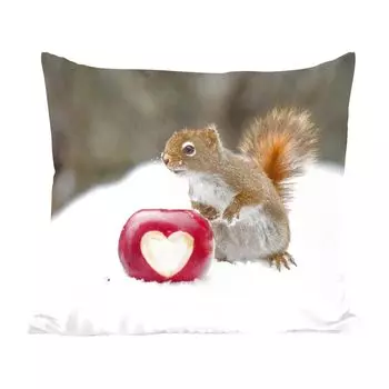 Декоративная подушка MuchoWow, диванная подушка, декоративная подушка для гостиной, 60 х 60 см, белка с яблоком с сердцем - чехол на подушку - хлопчатобумажная ткань - декоративные наволочки