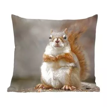 Декоративная подушка MuchoWow, диванная подушка, декоративная подушка для гостиной, 60 х 60 см, белка крупным планом - чехол на подушку - хлопковая ткань - декоративные наволочки