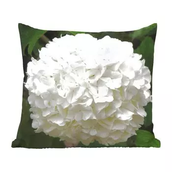 Декоративная подушка MuchoWow, диванная подушка, декоративная подушка для гостиной, 60 х 60 см, белая гортензия - чехол на подушку - хлопчатобумажная ткань - декоративные наволочки