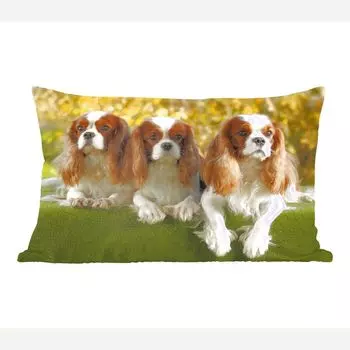 Декоративная подушка MuchoWow, диванная подушка, декоративная подушка для гостиной, 50 х 30 см, три красивых кавалер-кинг-чарльз-спаниеля рядом друг с другом - чехлы для диванных подушек - без наполнителя