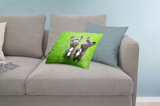 Декоративная подушка MuchoWow Диванная подушка Декоративная подушка для гостиной 60 x 40 см Французский бульдог - Трава - Воротник - Чехлы на подушки - Декоративные чехлы на подушки - Декоративные чехлы на подушки