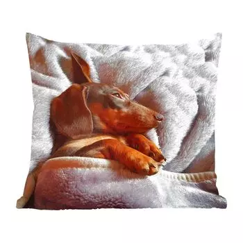 Декоративная подушка MuchoWow, диванная подушка, декоративная подушка для гостиной, 60 х 60 см, милая такса лежит под пододеяльником - чехол на подушку - хлопчатобумажная ткань - декоративные наволочки