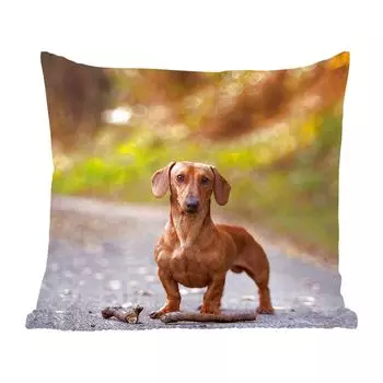 Декоративная подушка MuchoWow, диванная подушка, декоративная подушка для гостиной, 60 х 60 см, красивая такса в лесу - чехол на подушку - хлопчатобумажная ткань - декоративные наволочки