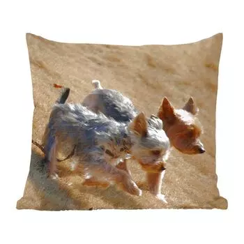 Декоративная подушка MuchoWow, диванная подушка, декоративная подушка для гостиной, 60 х 60 см, два маленьких йоркширских терьера, гуляющие по пляжу - чехол на подушку - хлопчатобумажная ткань - декоративные наволочки